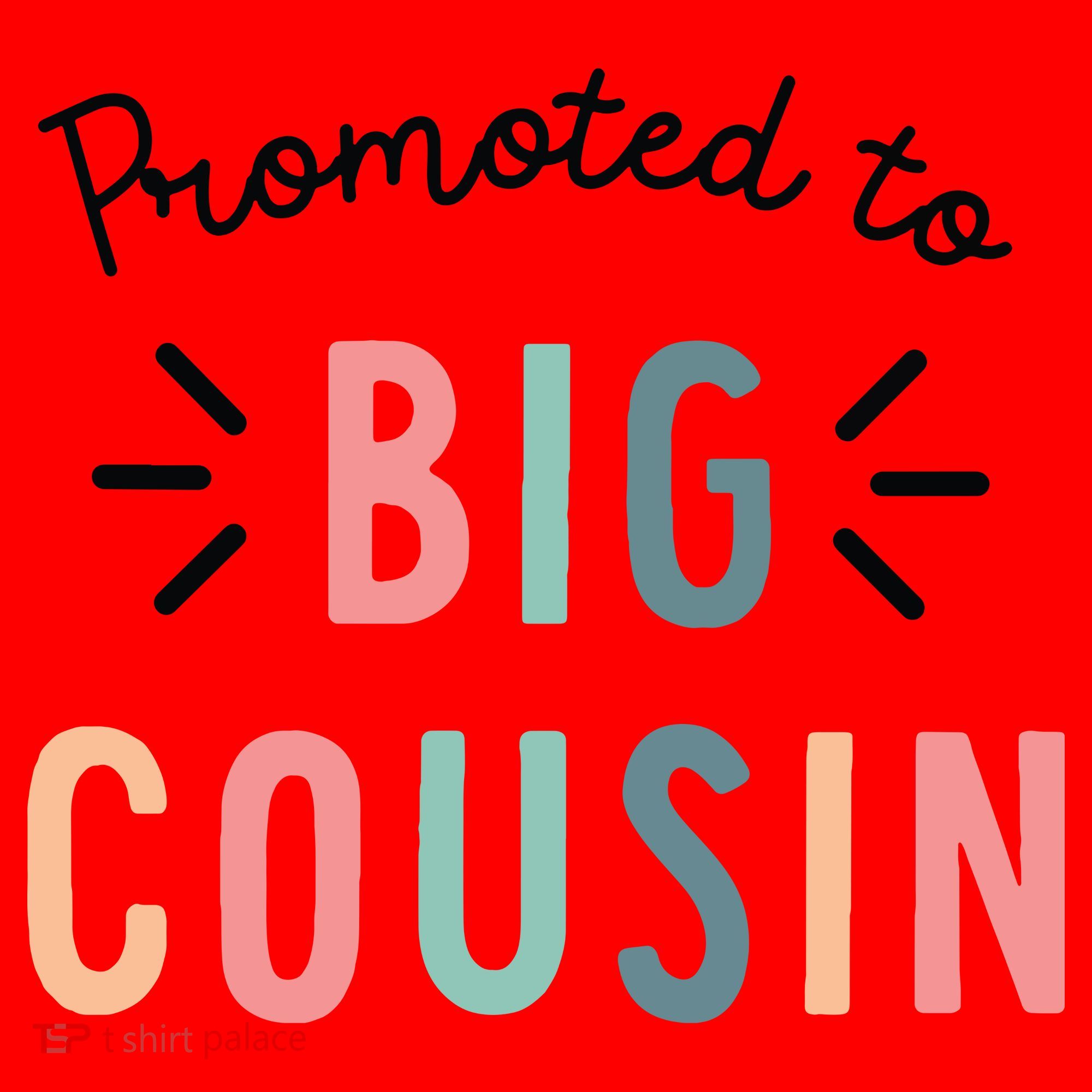 Promoted To Big Cousin Santa Hat