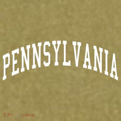 Pennsylvania Throwback Design Print Classic Garment-Dyed Women's Muscle Tee