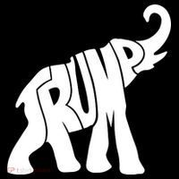 Pro Trump Elephant Women's Hoodie thumb 2