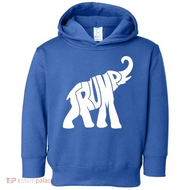 Toddler Hoodie