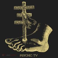 Psychic Tv Fan Art Beanie thumb 2