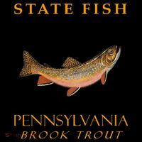 Pennsylvania Territory Game Fish The Brook Trout Coffee Mug thumb 5