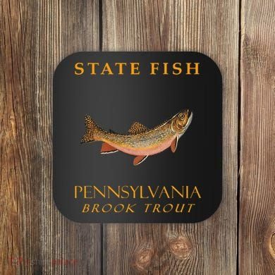 Pennsylvania Territory Game Fish The Brook Trout Coaster
