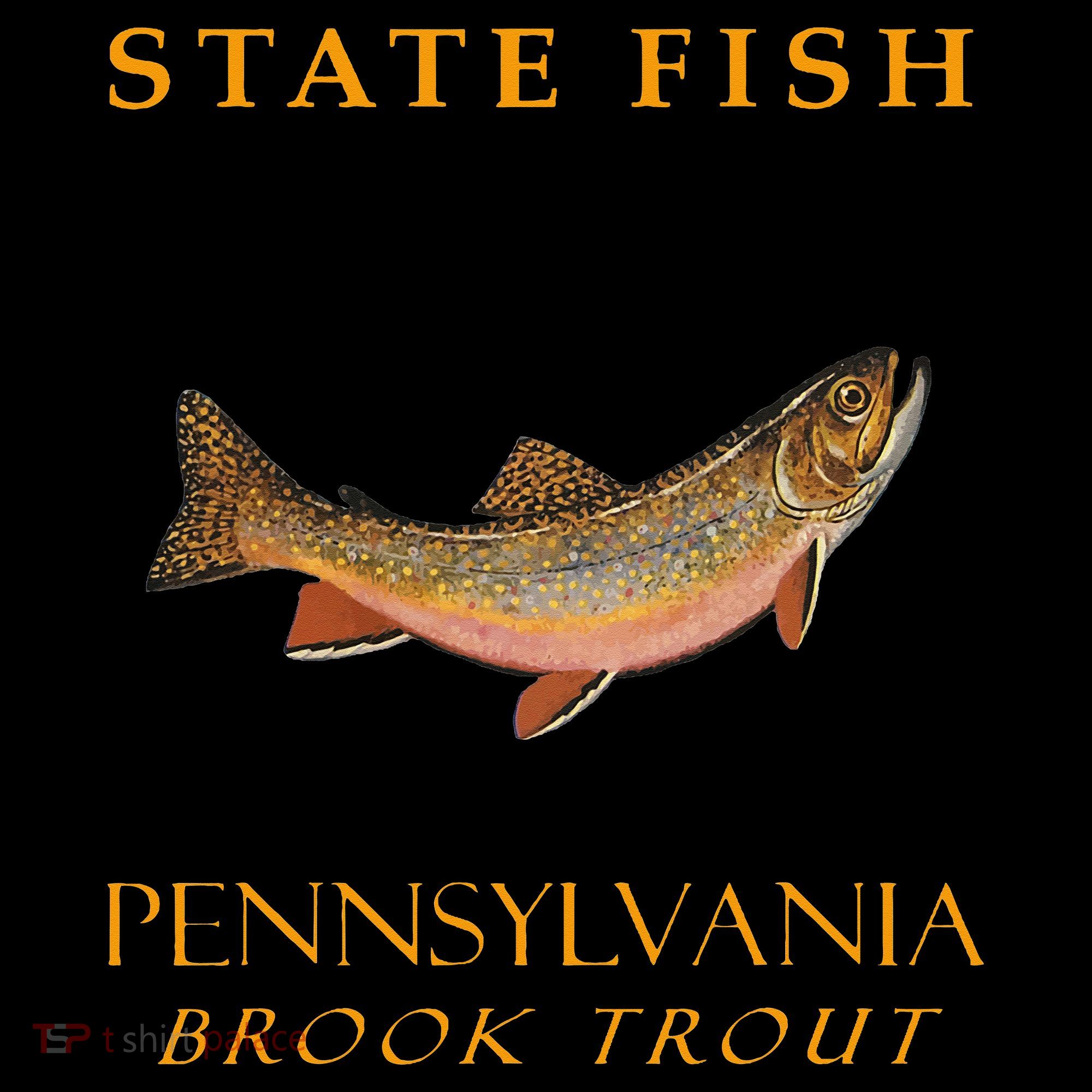 Pennsylvania Territory Game Fish The Brook Trout Women's Hoodie