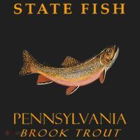 Pennsylvania Territory Game Fish The Brook Trout Hat thumb 2