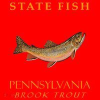 Pennsylvania Territory Game Fish The Brook Trout Santa Hat thumb 1