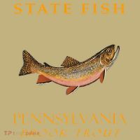 Pennsylvania Territory Game Fish The Brook Trout Mousepad thumb 1