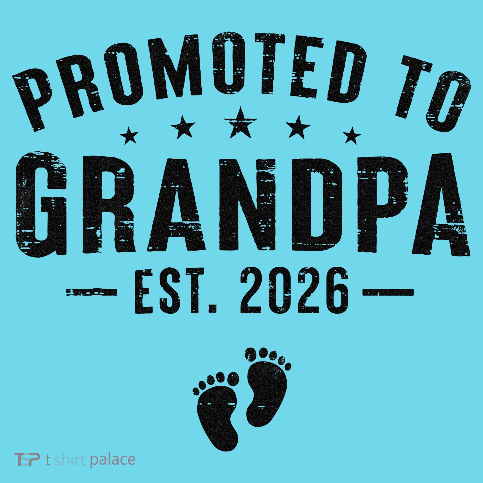 Promoted To Grandpa EST 2026 New Baby T-Shirt