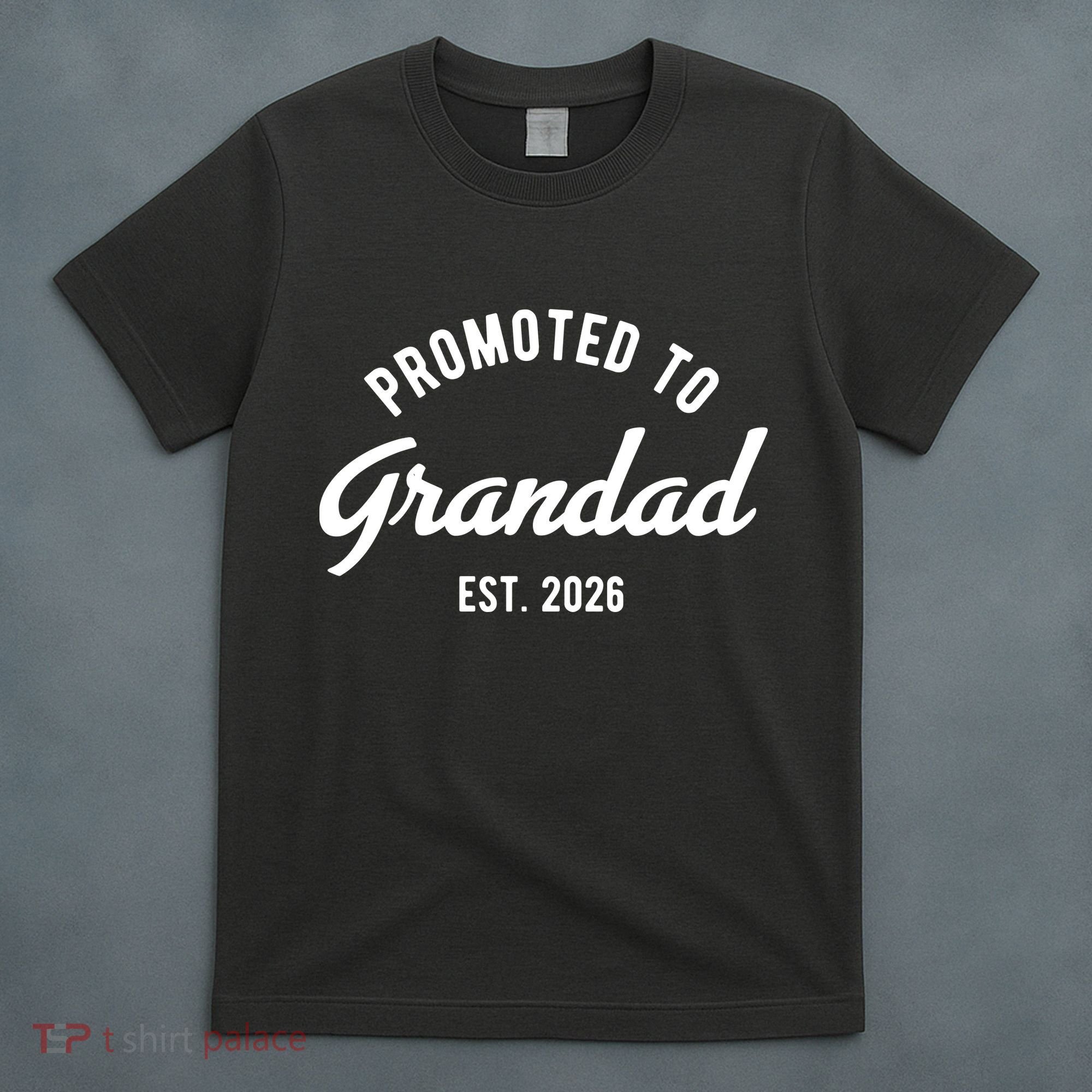 Promoted To Grandad 2026 T-Shirt
