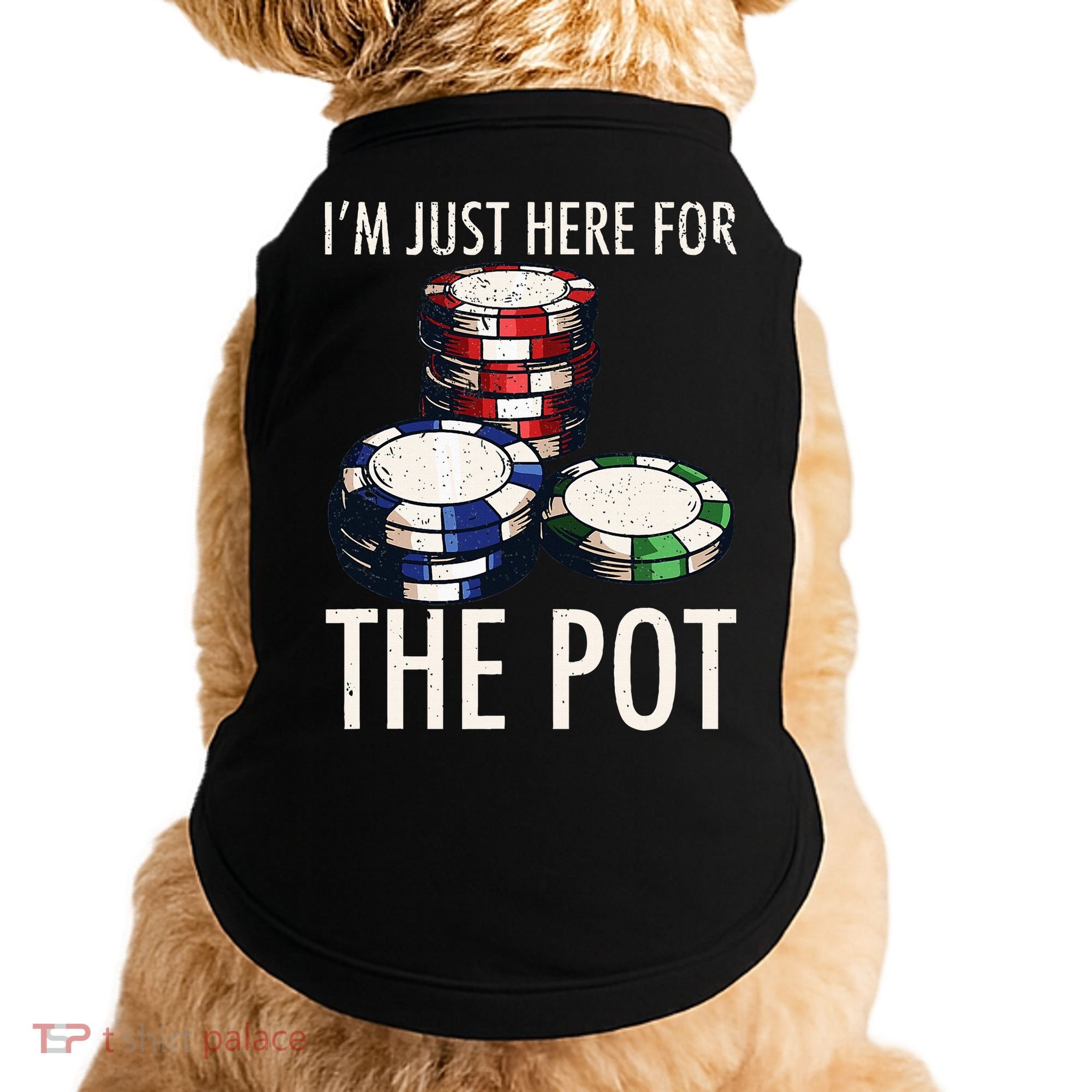 Poker Texas Holdem Gambling Pot Cards Player Doggie Tank