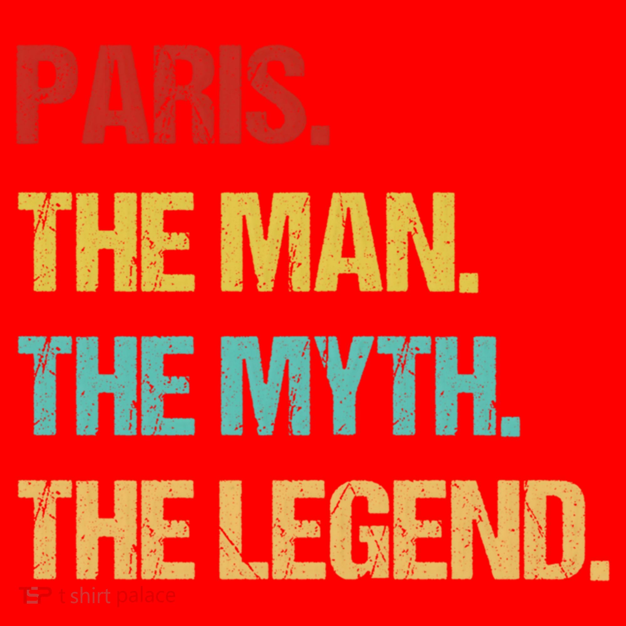 Paris The Man The Myth Santa Hat