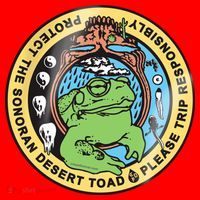 Psychedelic Toad Of The Sonoran Desert Santa Hat thumb 1