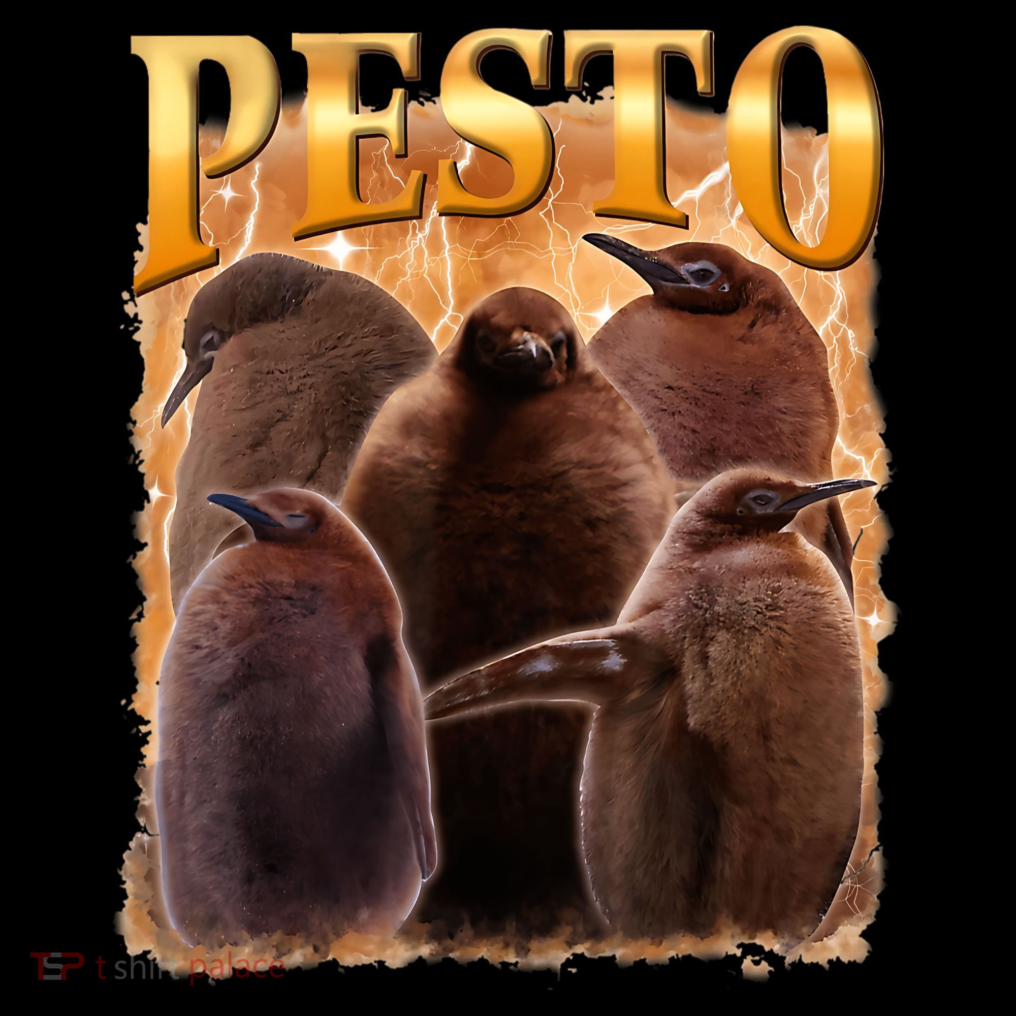 Pesto The Penguin Coaster