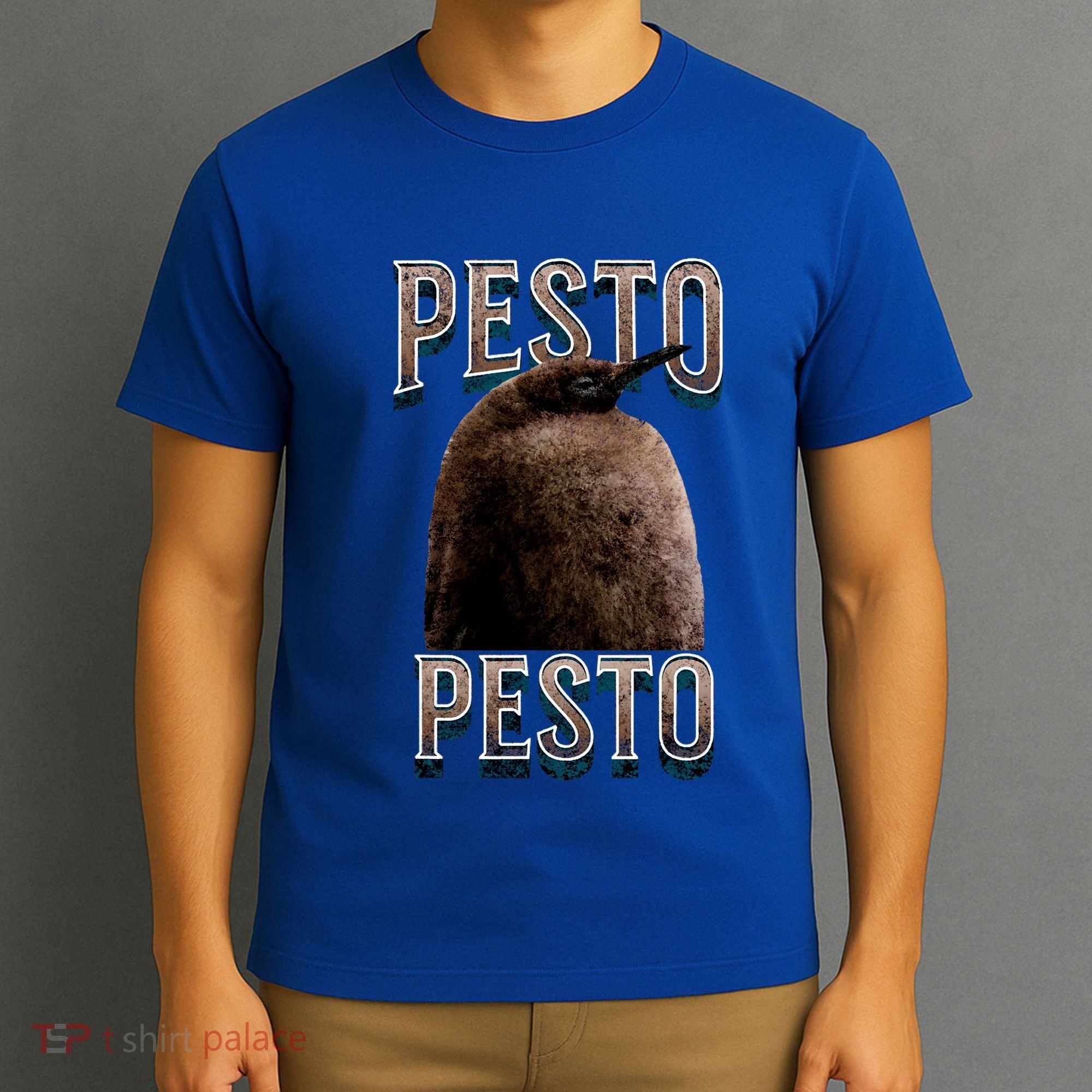 Pesto The Penguin Famous Bird Meme Vintage T-Shirt