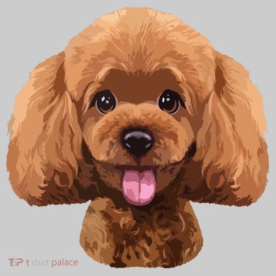 Playful Toy Poodle Face Funny Dog Bucket Hat