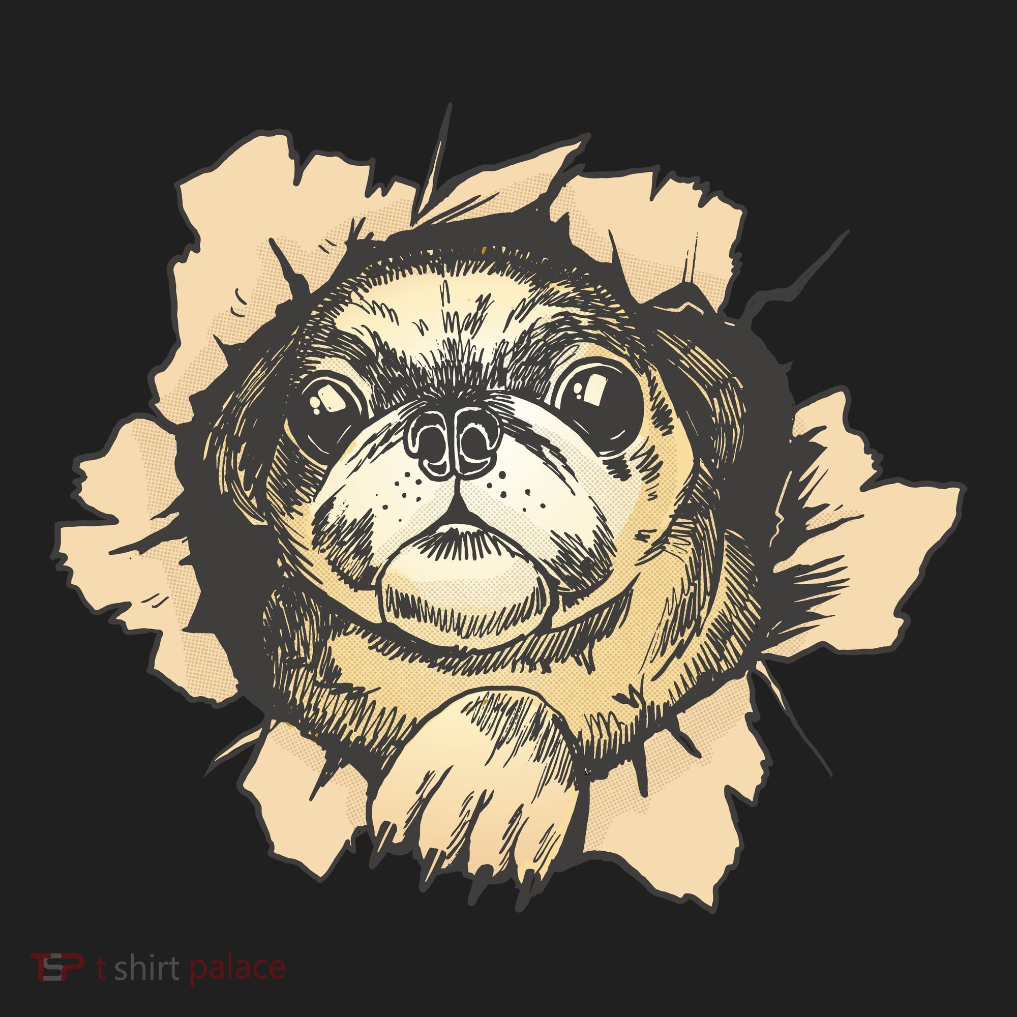Pug Torn Women's Sweatshirt