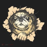 Pug Torn Hat thumb 2
