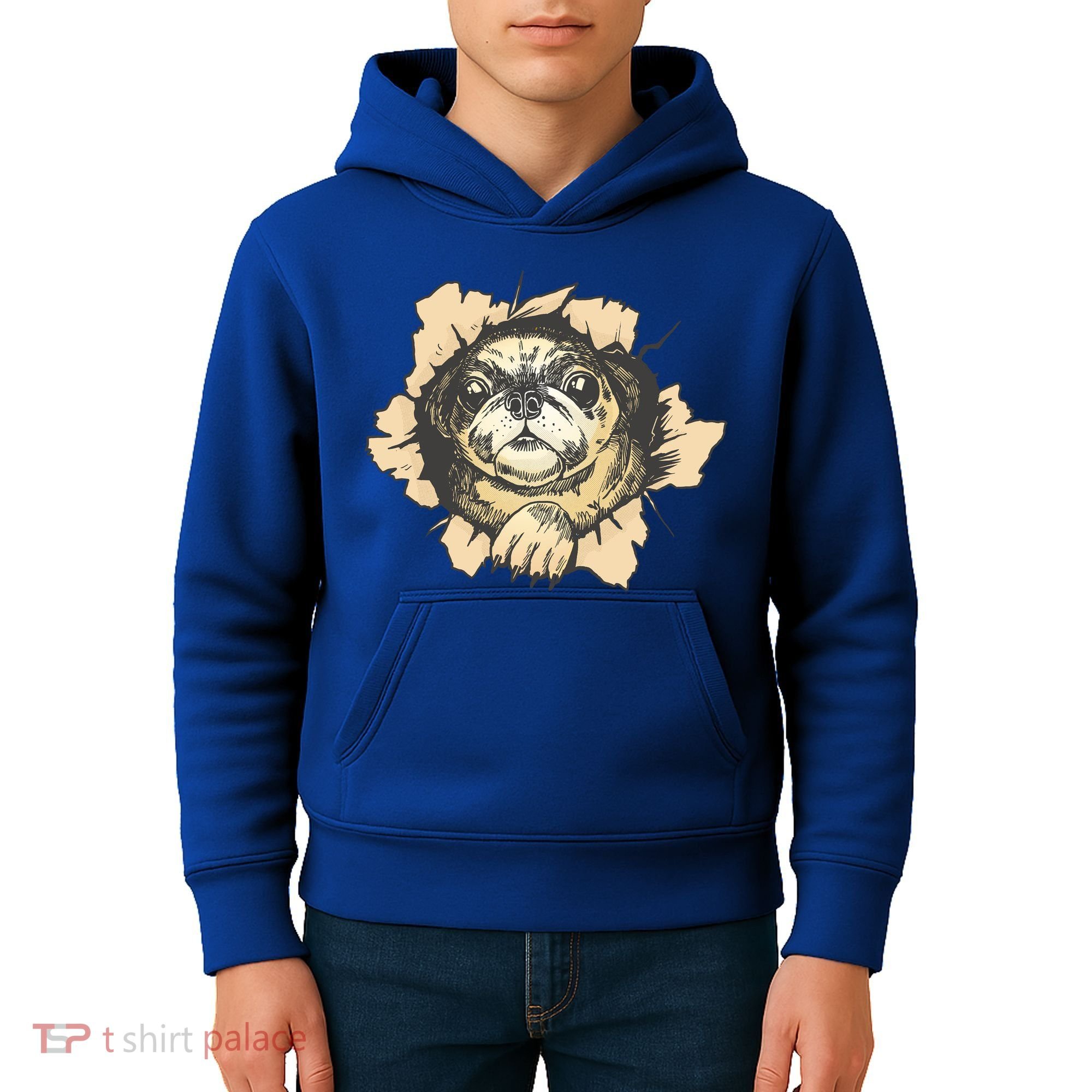 Pug Torn Kids Hoodie