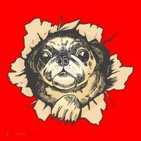Pug Torn Santa Hat thumb 1