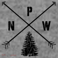 Pine Tree Pacific Northwest PNW Arrows Toddler Hoodie thumb 2