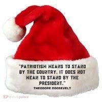 Patriotic Teddy Roosevelt Quote Santa Hat thumb 0