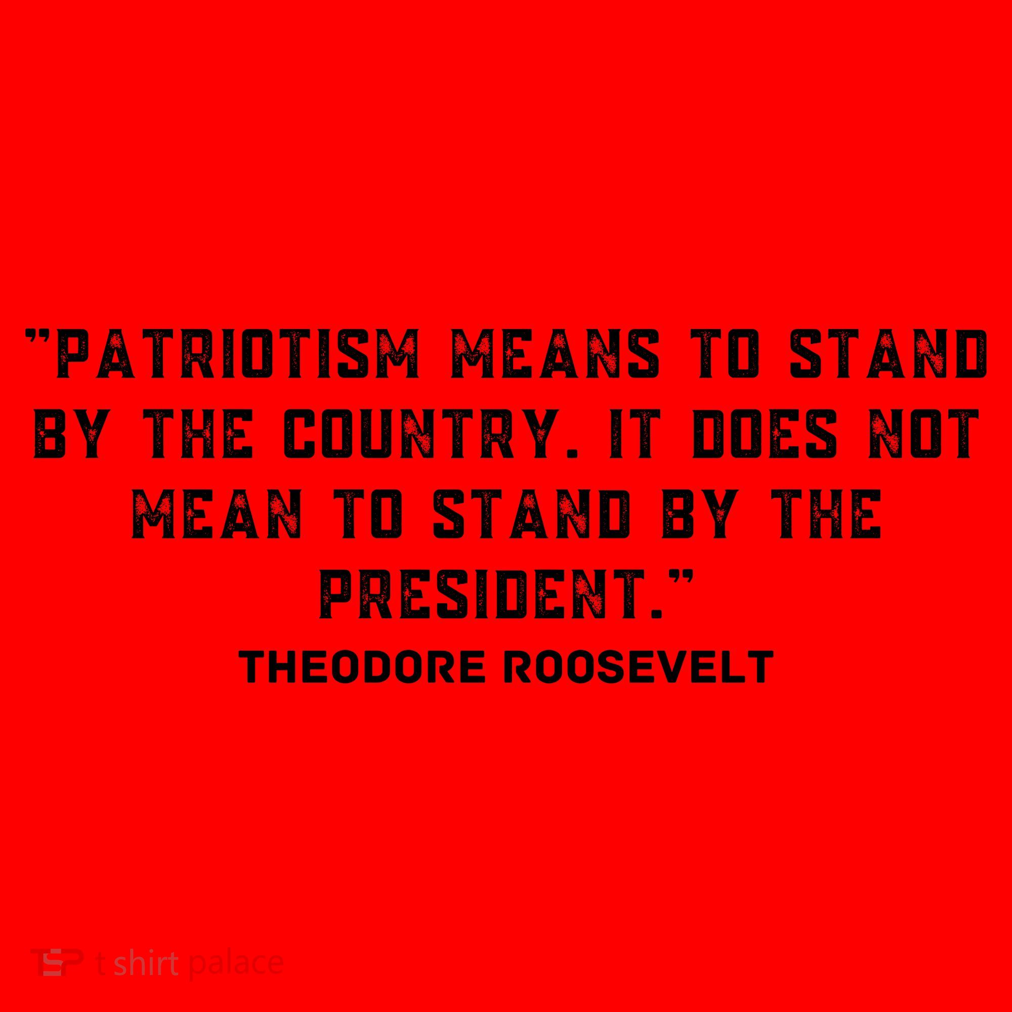 Patriotic Teddy Roosevelt Quote Santa Hat