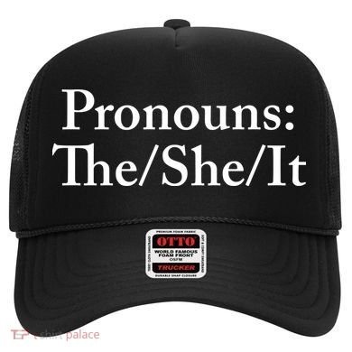 Pronouns The She It Hat