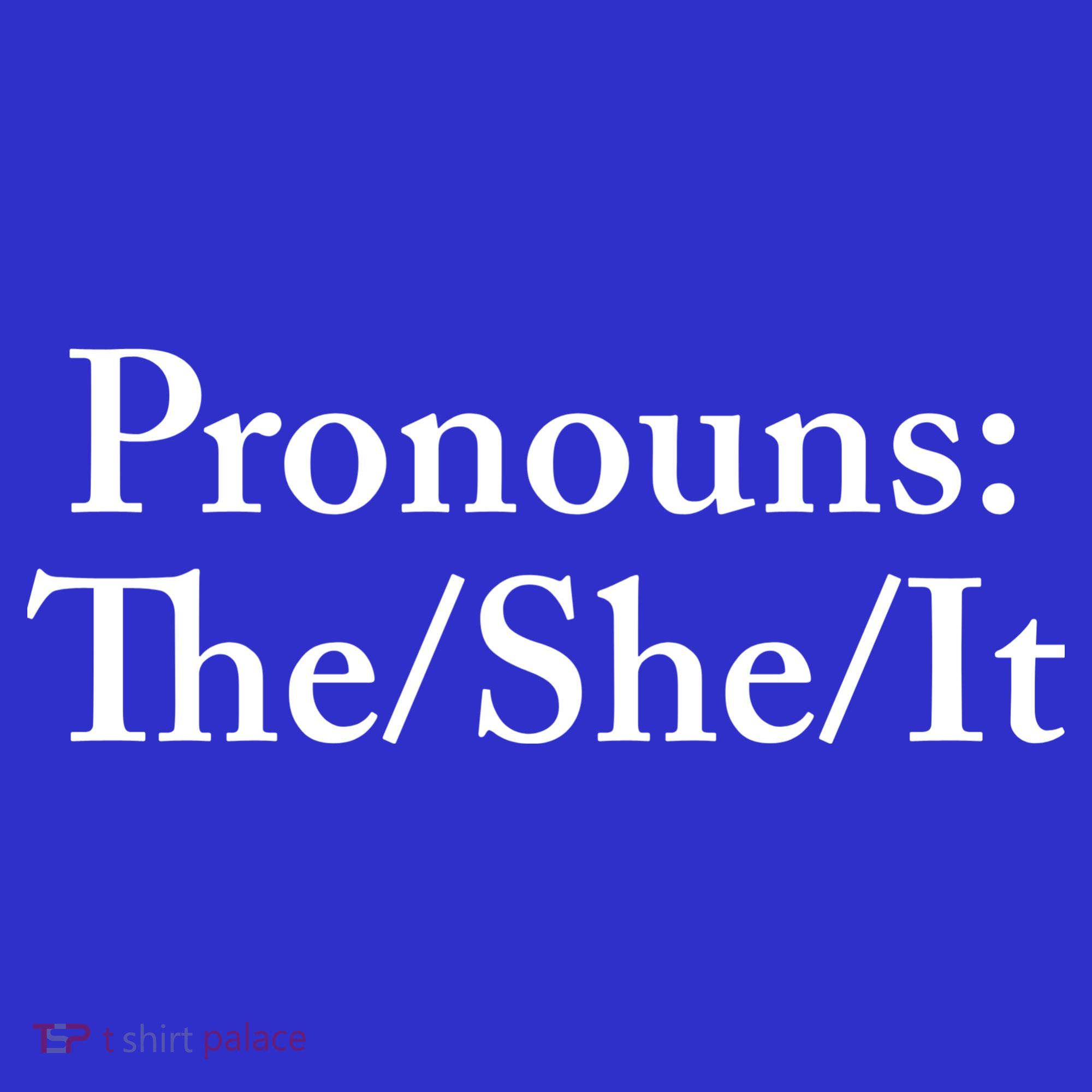 Pronouns The She It Kids Long Sleeve Shirt