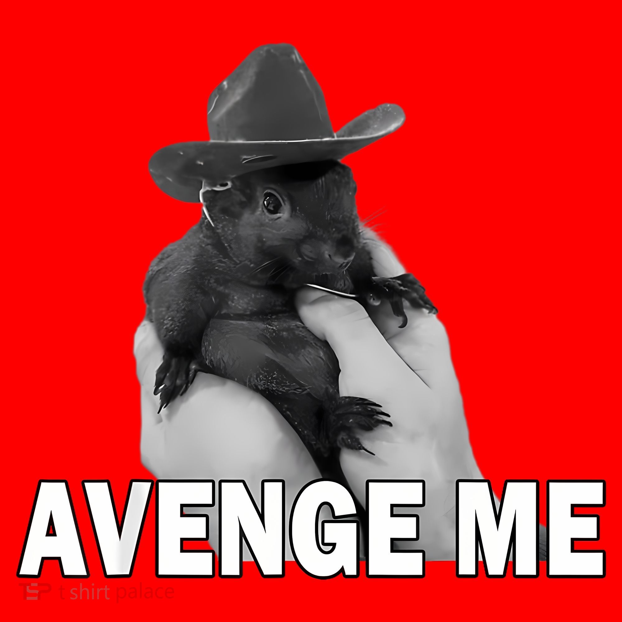Peanut The Squirrel Avenge Me Santa Hat