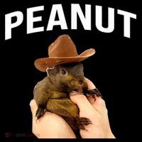 Peanut The Squirrel Hoodie thumb 7