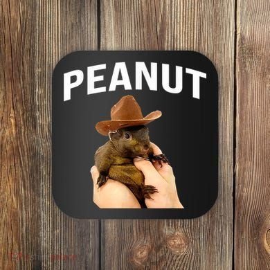 Peanut The Squirrel Coaster