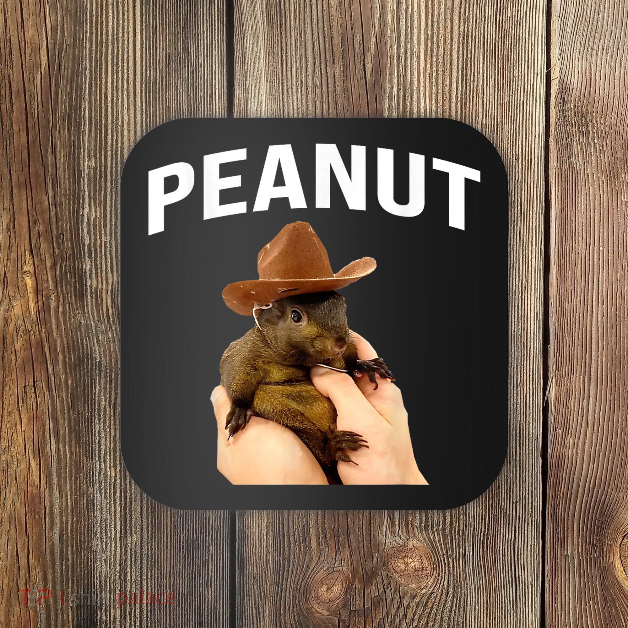 Peanut The Squirrel Coaster