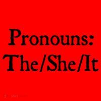 Pronouns The She It Santa Hat thumb 1