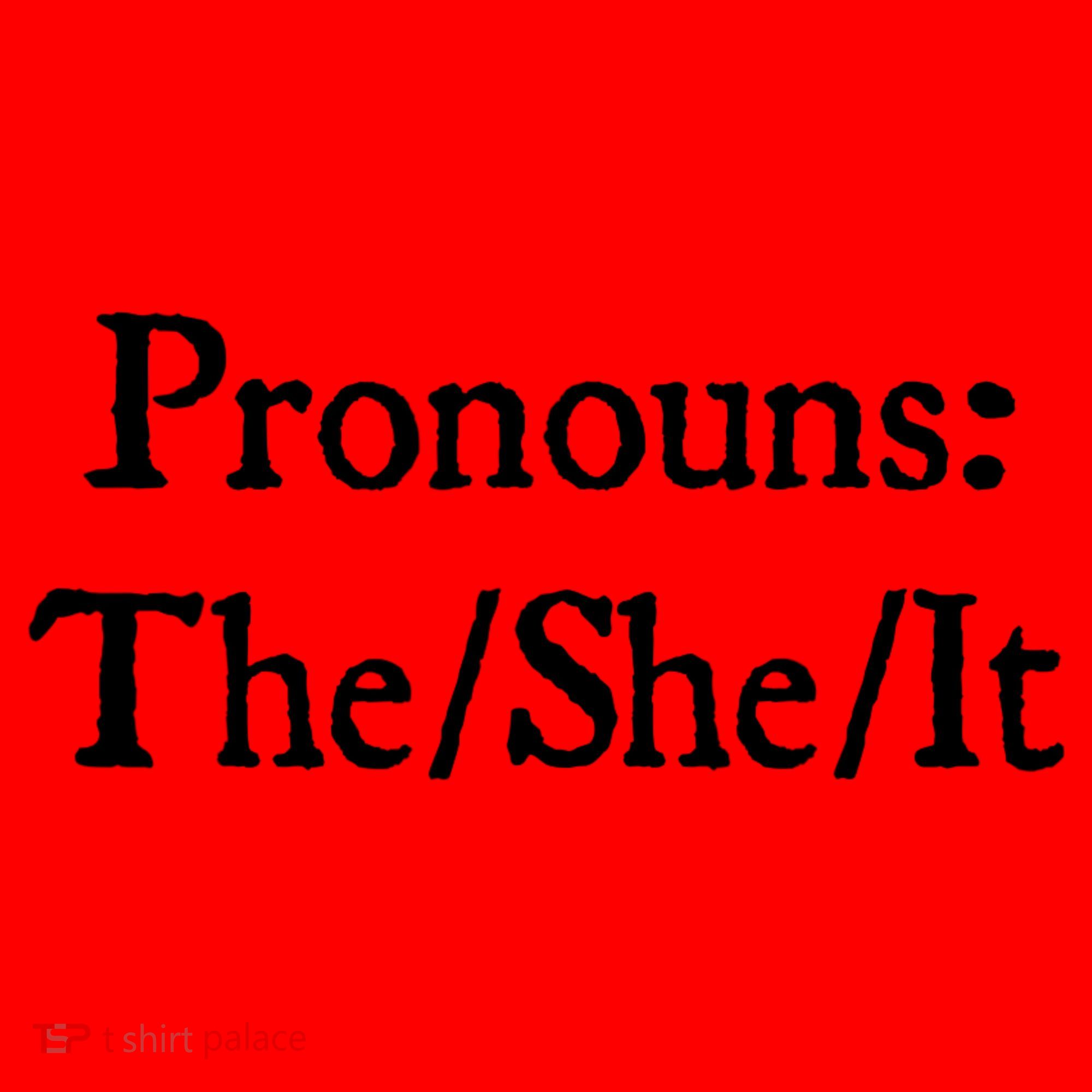 Pronouns The She It Santa Hat