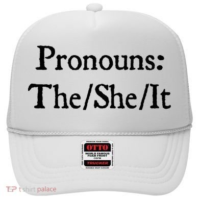 Pronouns The She It Hat