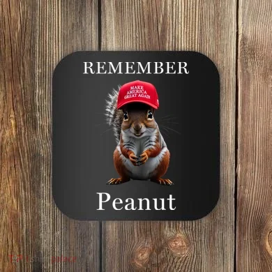 Peanut The Squirrel Coaster