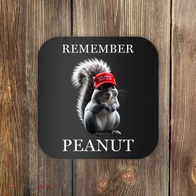 Peanut The Squirrel Coaster