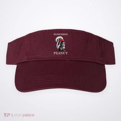 Visor