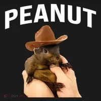 Peanut The Squirrel Sweatshirt thumb 3