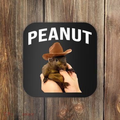 Peanut The Squirrel Coaster