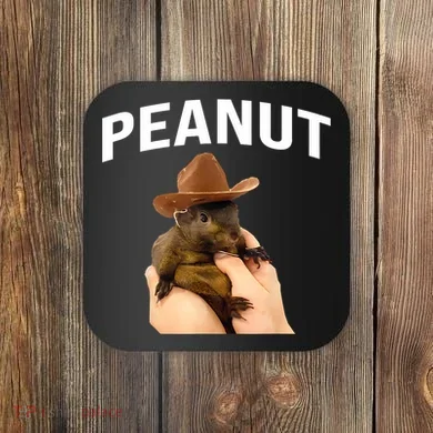 Peanut The Squirrel Coaster