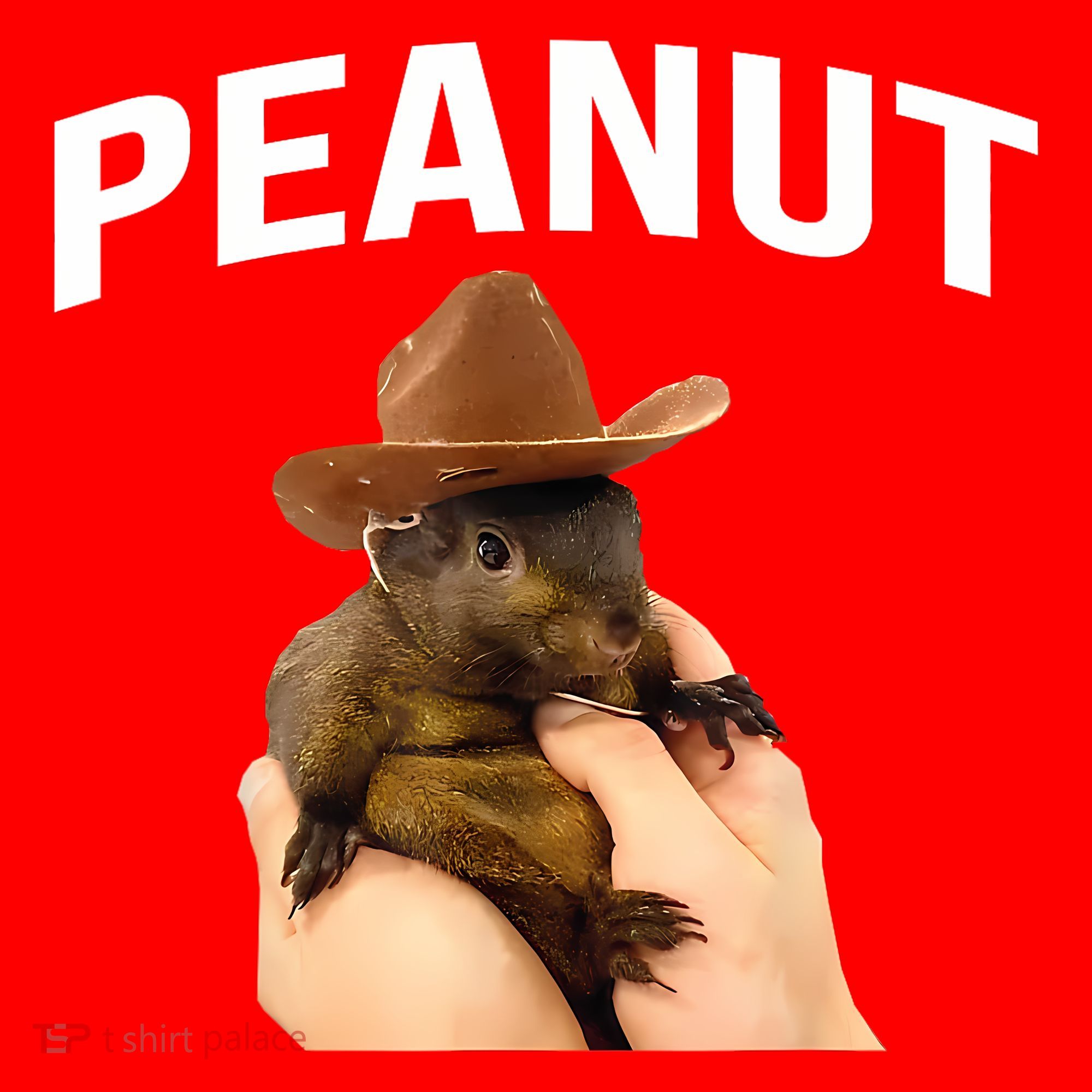 Peanut The Squirrel Santa Hat