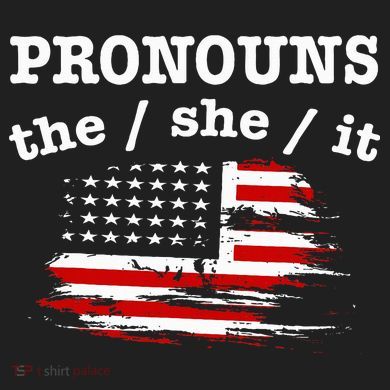 Pronouns The She It Comfort Colors T-Shirt