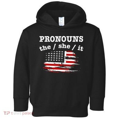 Pronouns The She It Toddler Hoodie