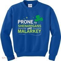 Prone To Shenanigans And Malarkey Funny Ireland Leprechaun Irish Gift Kids Sweatshirt thumb 0