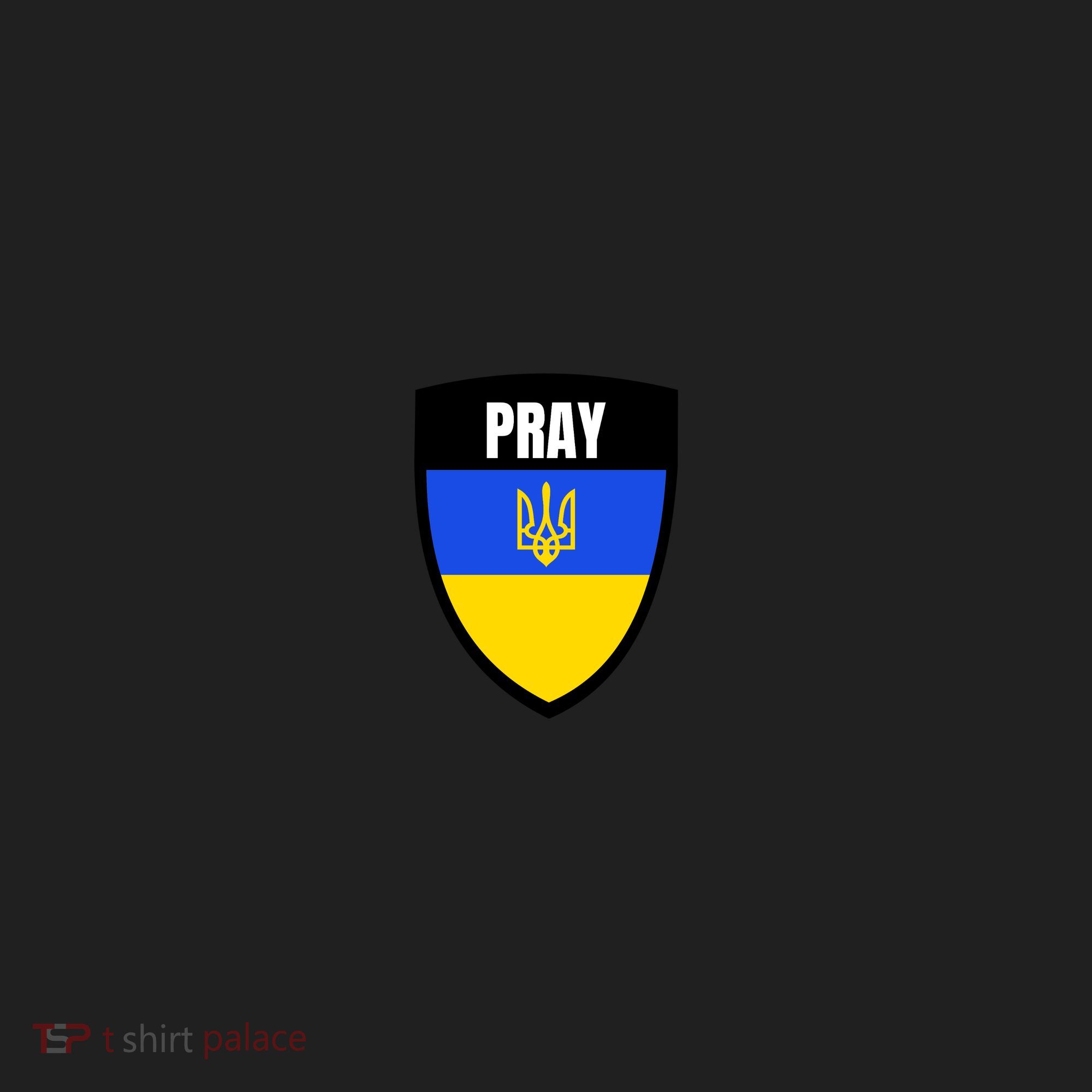 Pray Tactical Support Ukrainian Flag Shield I Stand With Ukraine Military Beanie