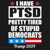 PTSD Pretty Tired Of Democrats Trump 2024 Hoodie thumb 2