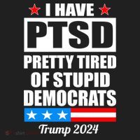 PTSD Pretty Tired Of Democrats Trump 2024 Beanie thumb 2