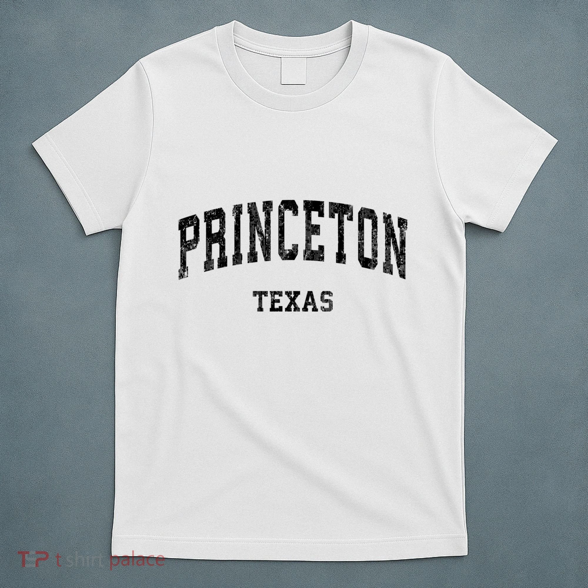 Princeton Texas Tx Vintage Established Varsity Sports T-Shirt