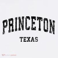 Princeton Texas Tx Vintage Established Varsity Sports T-Shirt thumb 7